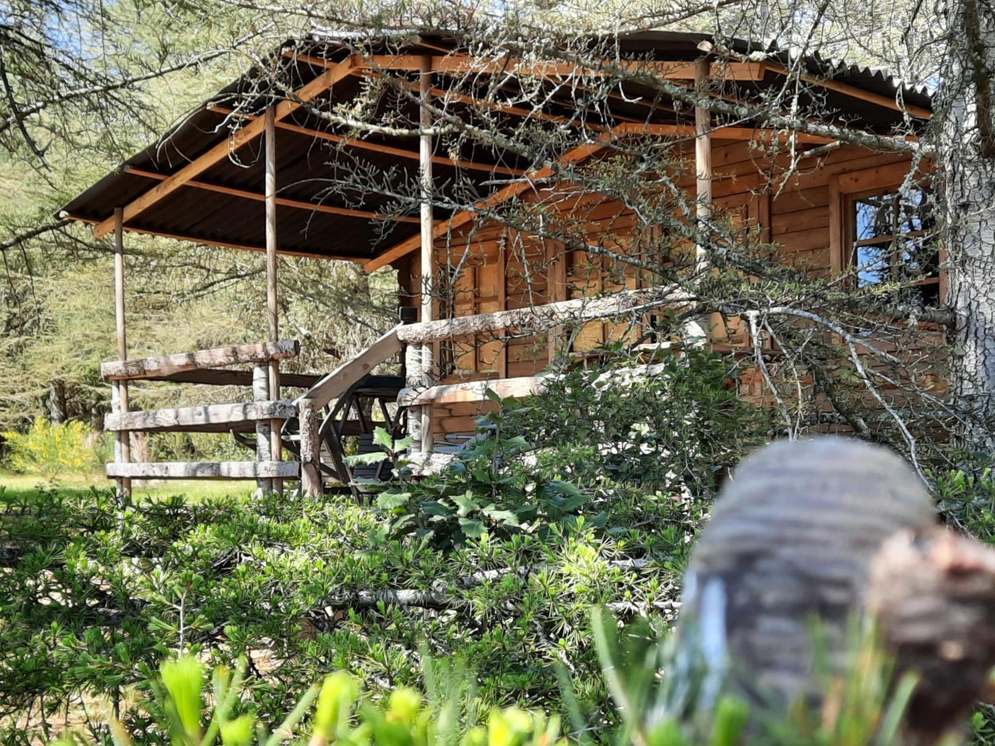 Domaine De La Vitarelle Glamping Villaniere المظهر الخارجي الصورة