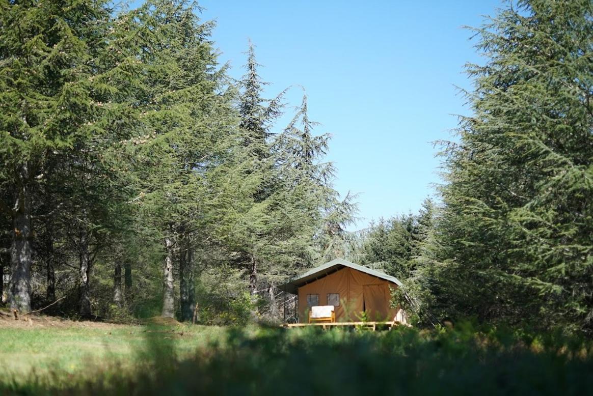Domaine De La Vitarelle Glamping Villaniere المظهر الخارجي الصورة