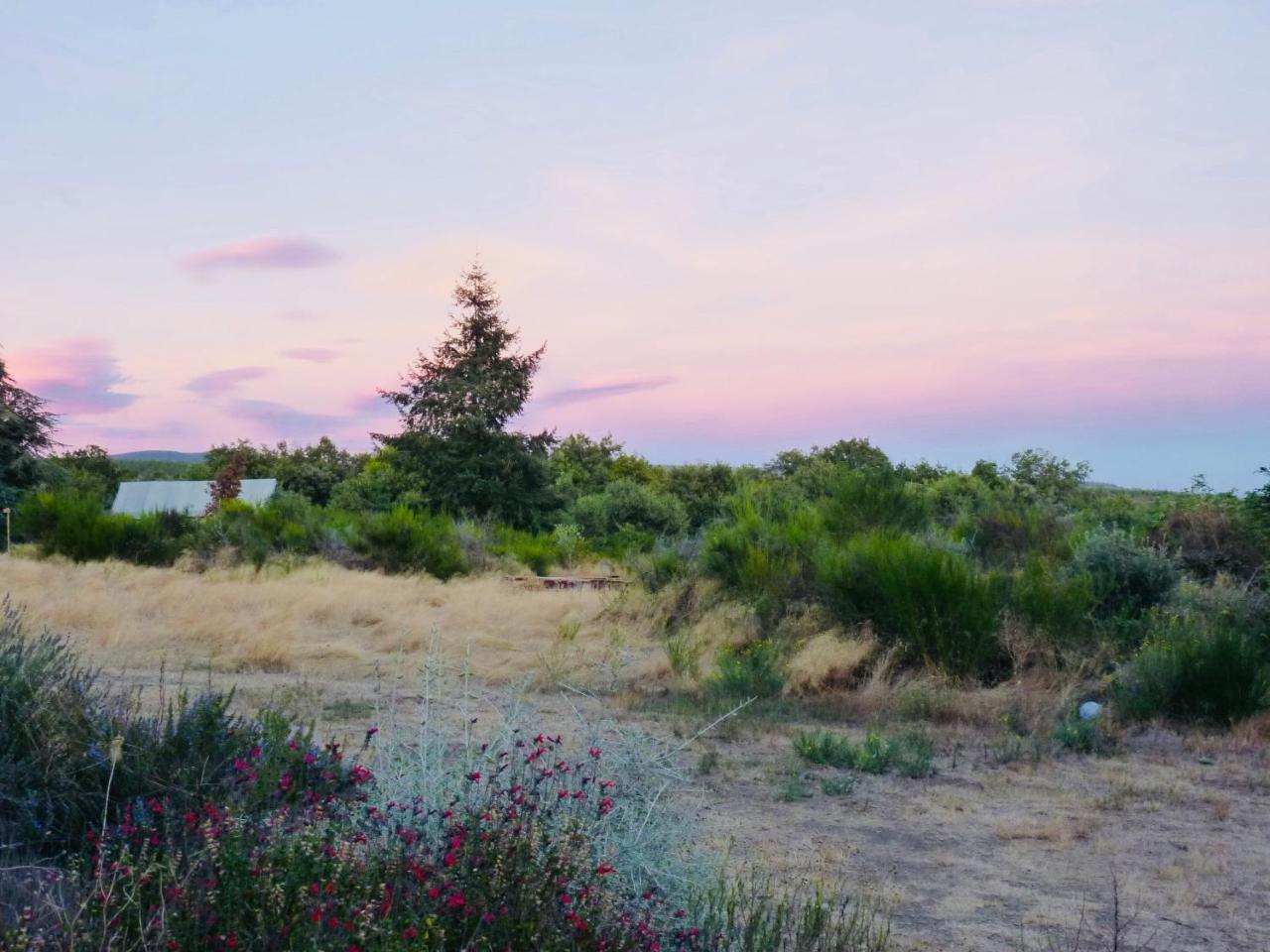 Domaine De La Vitarelle Glamping Villaniere المظهر الخارجي الصورة